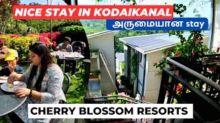 kodaikanal resorts in tamil  cherry blossom resorts எப்படி இருக்கு FampT Tamil foodtraveltamil86 [upl. by Iem185]