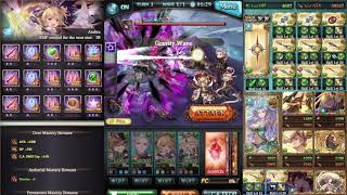 Lv 200 Baal Militis Full Auto feat ML 30 Robin Hood and VGrimnir  Granblue Fantasy [upl. by Clarence]