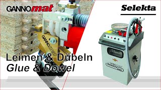 GANNOMAT Selekta  Dübeleintreibgerät  Handheld glue and dowel inserter [upl. by Nylitak]