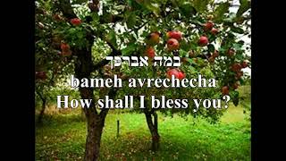 Ilan Tree Motty Steinmetz HebrewEnglish Lyrics PICTURETEXT ONLY אילן מוטי שטיינמץ [upl. by Htidra]