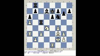 Xiong Jeffery vs Neimer Vitaly  Saint Louis SPICE Chess Cup Open 2013 USA [upl. by Ahseket]