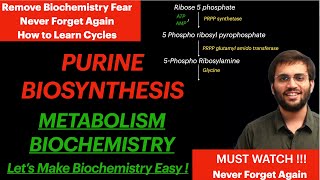 Purine Synthesis  Biochemistry  Purine Metabolism Video [upl. by Chrissa]