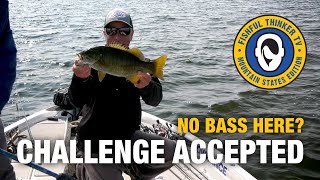 Bonus Bass Bounty part 2 bass fishing [upl. by Clarisse]