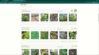 Identify a plant with PlntNet on the web [upl. by Holtorf]