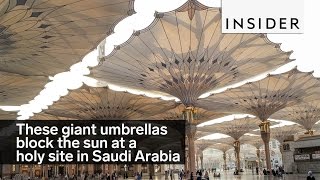 Umbrella mosque [upl. by Deste403]