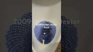 303 Kohler Dexter urinal at Walmart  toiletminiatures167 [upl. by Anerom]