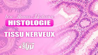 HISTOLOGIE 1ère année  TMC CAMP  TISSU NERVEUX  By Rania [upl. by Ahsitnauq]