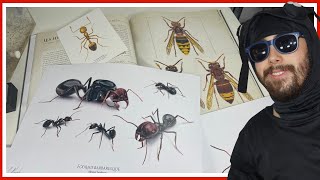 Ces illustrations naturalistes sont dingue  vlog GF 4 [upl. by Alric]