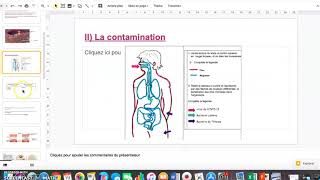 les Microbes  SVT en quatrième [upl. by Nnaasil]