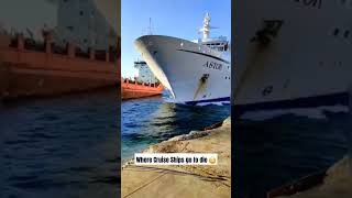 Cruise Ship Bone Yard ships ocean boats boneyard interesting viralposts yacht cruise [upl. by Ciprian]