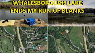 Whalesborough Lake ends my run of blanks [upl. by Abih]