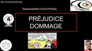 0419 Cours Responsabilité des éducateurs Le préjudice le dommage [upl. by Drislane]