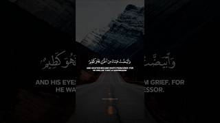 Surah yousuf Saad Al Ghamdi القرآنالكريم [upl. by Rephotsirhc]