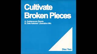 Cultivate  Broken Pieces Goldenscan Remix [upl. by Kaleena]