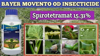 BAYER MOVENTO OD INSECTICIDE  movento od  spirotetramat 1531od [upl. by Aivax]