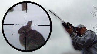 Arrow Gun Rabbit Hunt with FX Verminator and G5 Small Game Head SGH [upl. by Animaj]