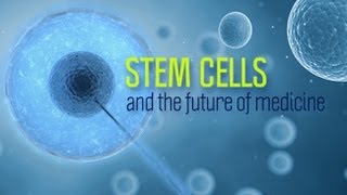 Stem Cells and the Future of Medicine  Research on Aging [upl. by Elburt180]