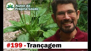 Autor da Própria Saúde  Trançagem antibiótico antiinflamatório hipertensão diabetes câncer [upl. by Ermeena]