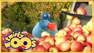 Twirlywoos  More About Full  Fun Learnings for kids [upl. by Birdie964]