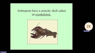 Biology 1ST YearChapter10Topic PHYLUM OF arthropods By ProfZia ullah khan uniqueLda [upl. by Trauner]