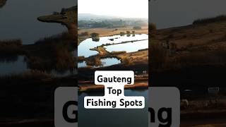 Top 7 Fishing Venues Gauteng fishingspot shorts fishingshorts carpfishing fishing [upl. by Etireuqram]