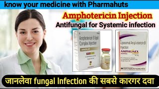 Amphotericin b liposomal injection 50 mg  Amphotericin injection  Amphotericin b uses in hindi [upl. by Pengelly]