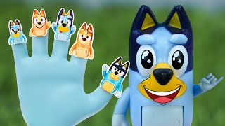 Baby Finger Where Are You  Play with Bluey amp Nursery Rhymes amp kids Songs  Pretend Play Bluey Toys [upl. by Eitten696]