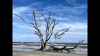 Botany Bay the Boneyard Beach [upl. by Sallee]