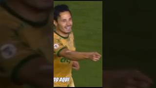 1 ponto de diferença pro pipocafogo [upl. by Goles414]