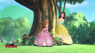 Sofia The First ft Belle  Make it Right  Bahasa Indonesia [upl. by Dawkins]