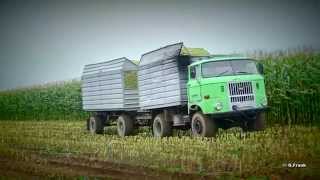 Kirovetz K700 Part 1 IFA W 50 Silage abfahren [upl. by Desireah]