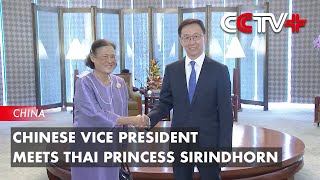 Chinese Vice President Meets Thai Princess Sirindhorn [upl. by Petes]