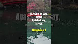 REJOICE IN THE LORD ALWAYS TRUTH REJOICE LORD [upl. by Monarski334]