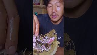 Himalayan toad curry recipe village short cooking suryalaxmi food curryrecipe [upl. by Merriam556]