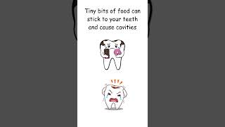 Why Do We Brush Our Teeth Fun Dental Hygiene Facts for Kids [upl. by Rikahs834]