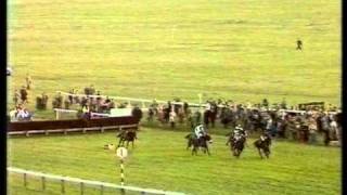 1981 Hennessy Cognac Gold Cup Handicap Chase [upl. by Sergei]