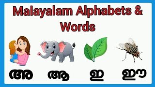 malayalam vowels and wordsSTUDY TIME👍🏻 [upl. by Nimra25]