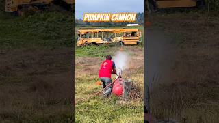 Pumpkin Cannon at Stocker Farms halloween pumpkin schoolbus [upl. by Jannel899]