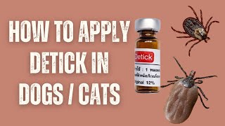 HOW TO APPLY DETICK IN DOGS  CATS [upl. by Adnam]