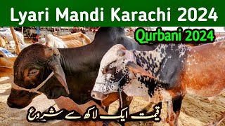 Lyari Mandi Me Janwaron Ki Qeemat  Lyari Cow mandi Ki Update 2024  qurbanicollection [upl. by Viv]