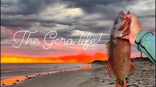 Coral trout off Geraldton [upl. by Etnoled]