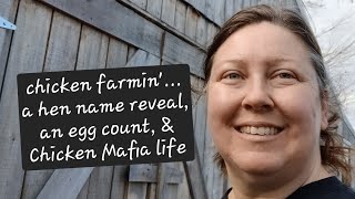 Day In The Life Chicken FarminMeet Our Video Diva Hen amp Count EggsIts A Chicken Mafia Thing [upl. by Anaytat]