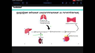 UE3 Physiologie Rénale بالعربية  5 Bilans Rénaux Du Sodium  Eau et Protons Par TAGZOUT MAISSENE [upl. by Greff]