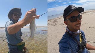 Flats Fishing For Yellowfin Whiting [upl. by Martica]