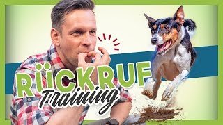 Rückruftraining  Deinem Hund oder Welpen KOMM beibringen [upl. by Vander112]