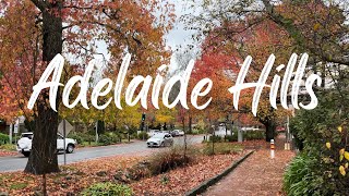 5 MustVisits in Adelaide Hills [upl. by Oria]