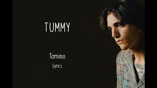 Tamino  Tummy  Lyrics [upl. by Salsbury]