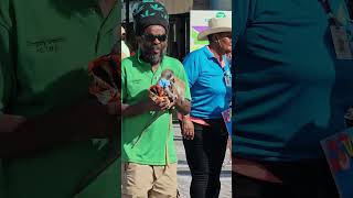 Arrival in St Kitts port area travel stkitts basseterre [upl. by Hannover]