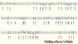 Fix You  Coldplay  Tin Whistle  Play Along Tab Tutorial [upl. by Angi964]