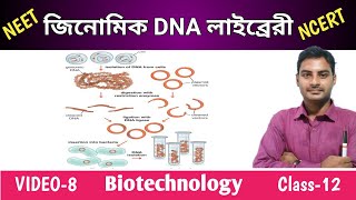 Genomic DNA Library in Bengali  জিনোমিক DNA লাইব্রেরী  Class12  WBCHSE  NEET [upl. by Orose]